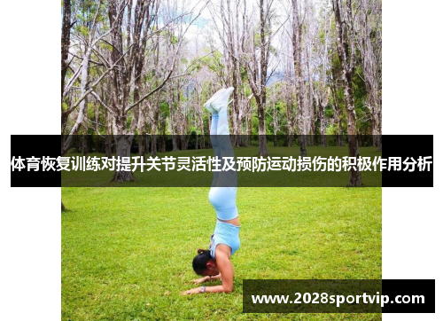 体育恢复训练对提升关节灵活性及预防运动损伤的积极作用分析